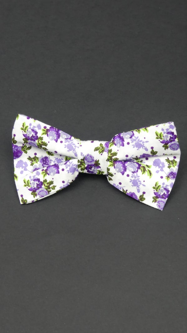 Photo d'un noeud-papillon violet et vert